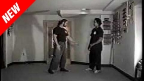 Jujitsu Basic Principles 3