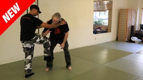 Defending Against Muay Thai Knee Strikes