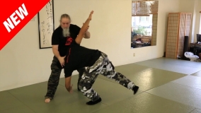 Defending Against Mauy Thai Knees, Takedowns, and Grabs