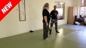 Combat Martial Arts vs. Sport Martial Arts